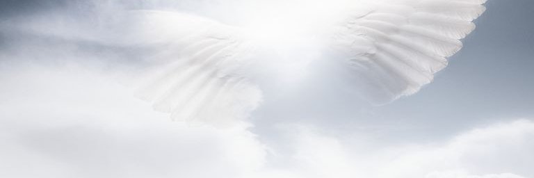 ASOCIACIONDRYE's profile banner image