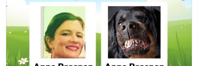 AnnaBros's profile banner image