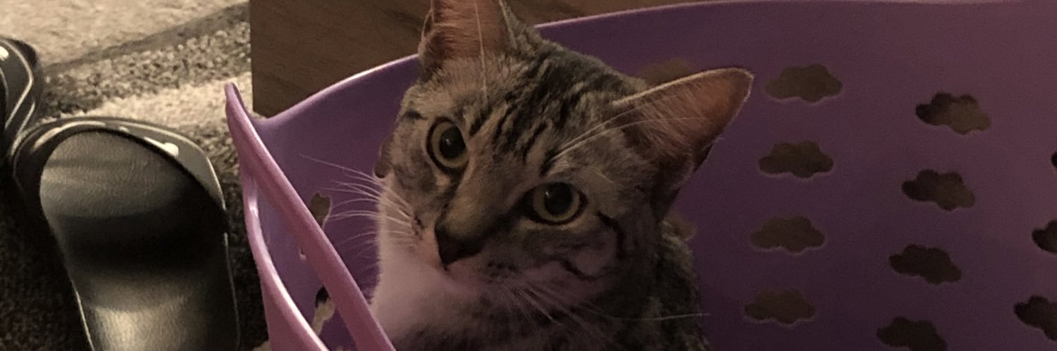 Lynnekeeee's profile banner image