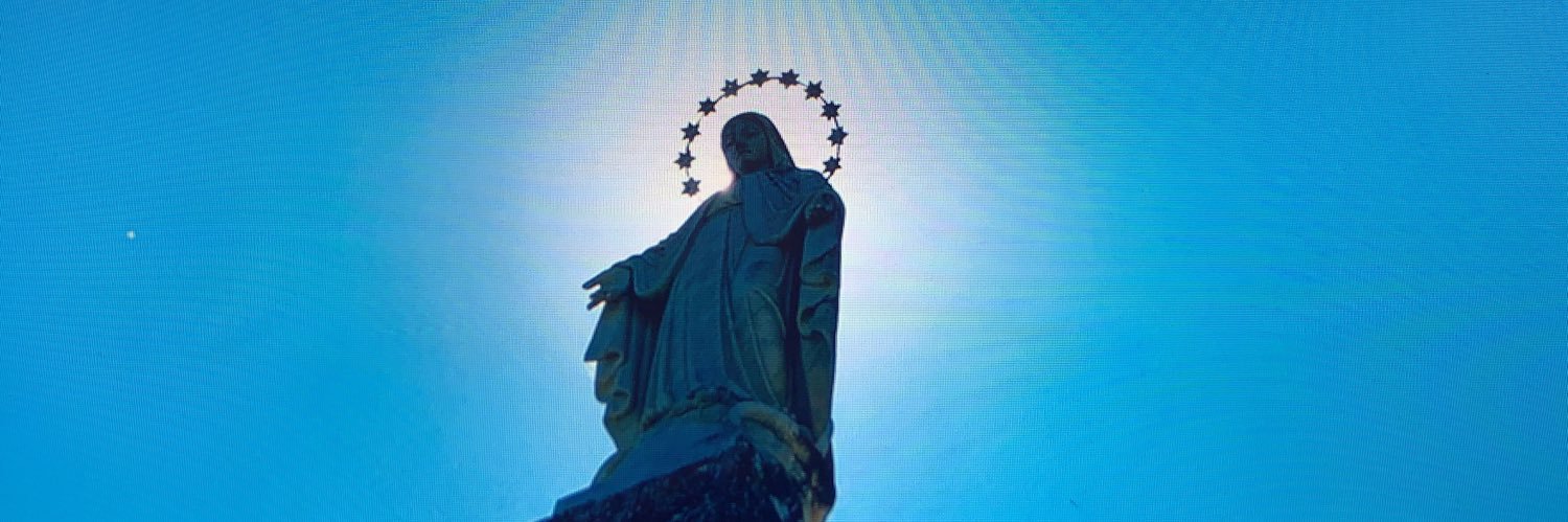 Gert Hofsteenge banner