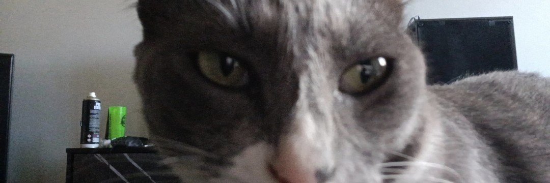 Ructofi's profile banner image
