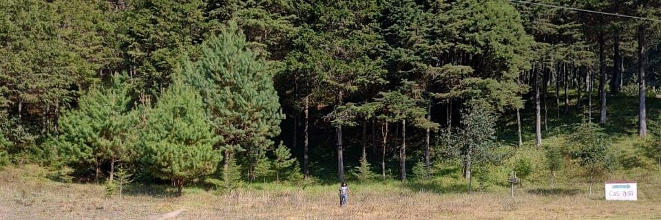 emlydem's profile banner image