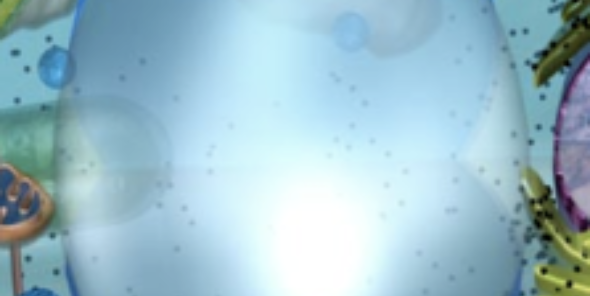 CENTRALVACU0LE's profile banner image