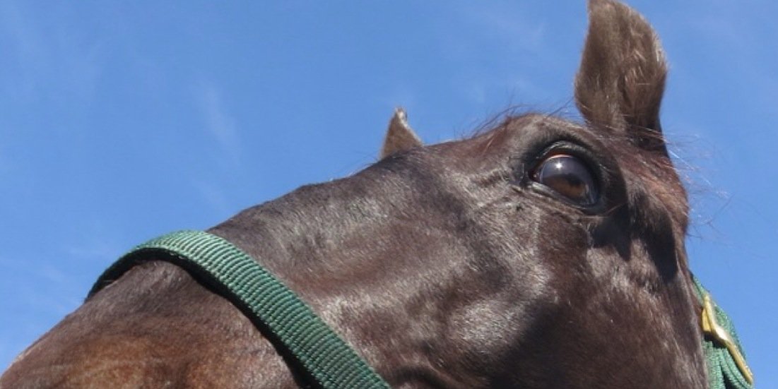 HJayBurns's profile banner image