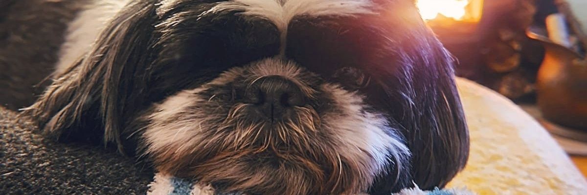 gagsy20's profile banner image