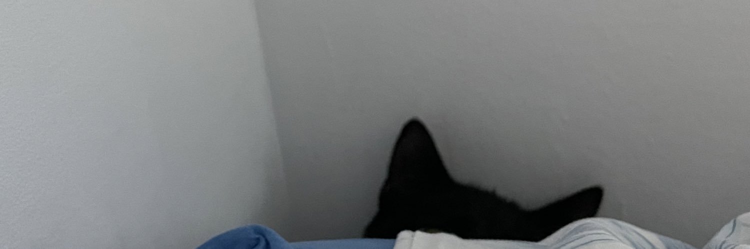 cf0132's profile banner image