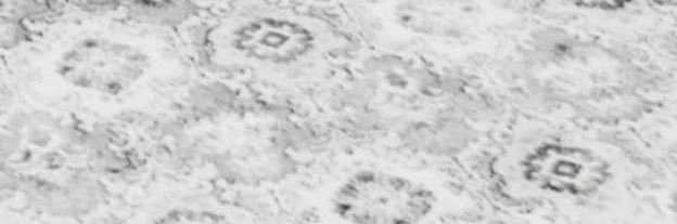user426820's profile banner image