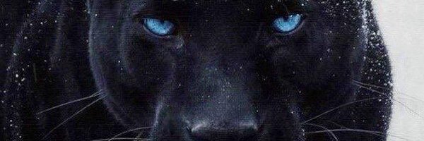 thisisWurlD Profile Banner