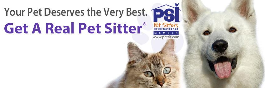 Furball's Choice banner