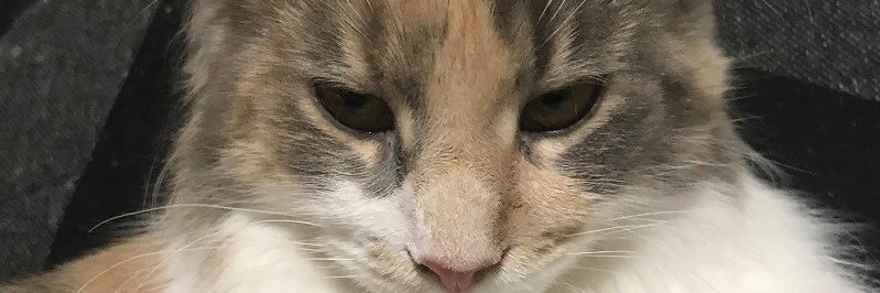 tkgerge10's profile banner image