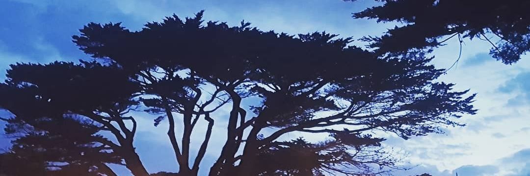 LMKaplanPhD's profile banner image