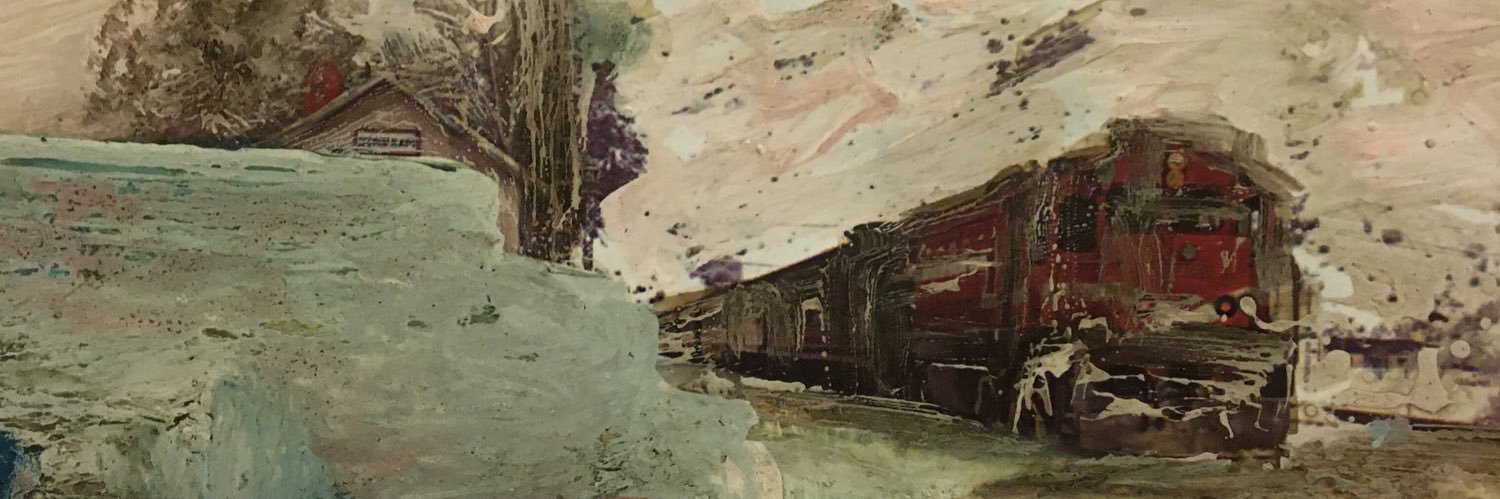 ozgesldry's profile banner image