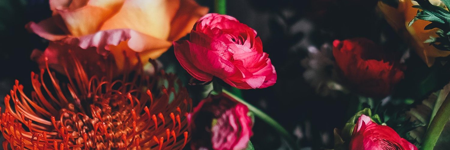 Audrey Thornborrow banner