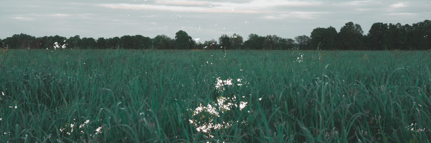 asheoffline's profile banner image