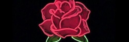 renaaluzzo's profile banner image