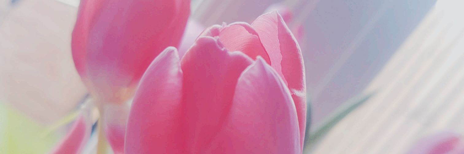 RachelLimmage's profile banner image