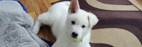 LePickleJeff's profile banner image
