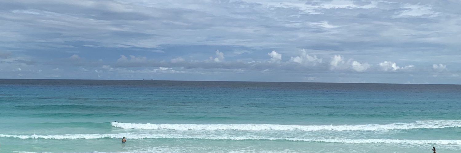 liliandico's profile banner image