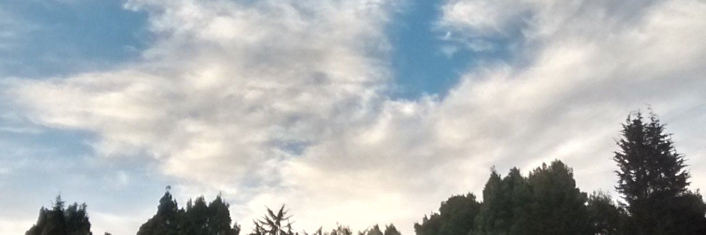 sacjfza's profile banner image