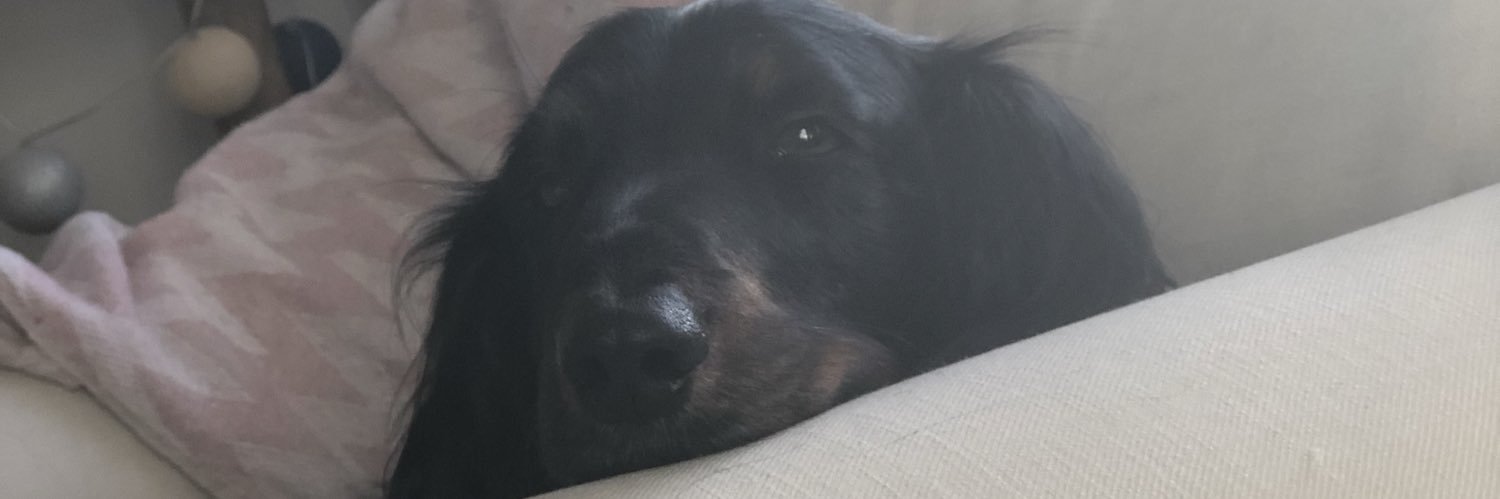 s_hogberg's profile banner image