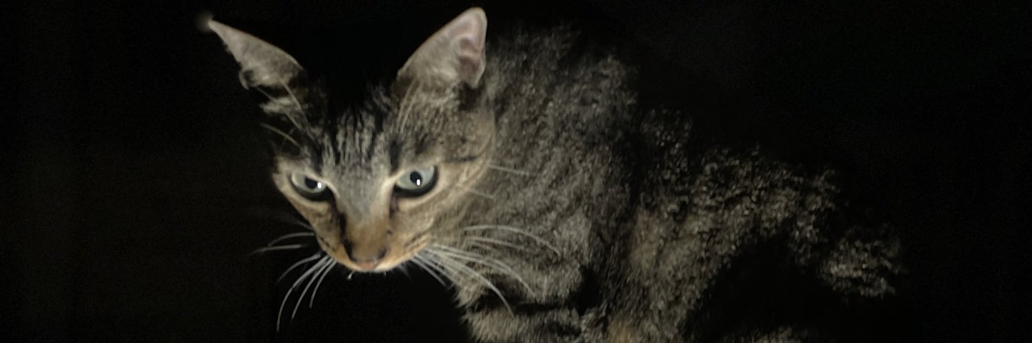 edimarlaya's profile banner image