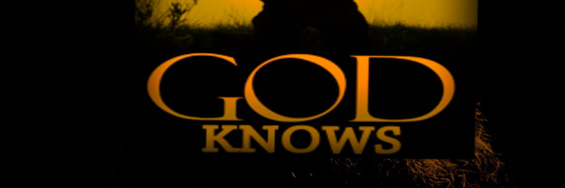 WizardKnowItAll's profile banner image
