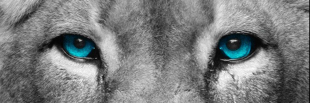 Mithras1111's profile banner image