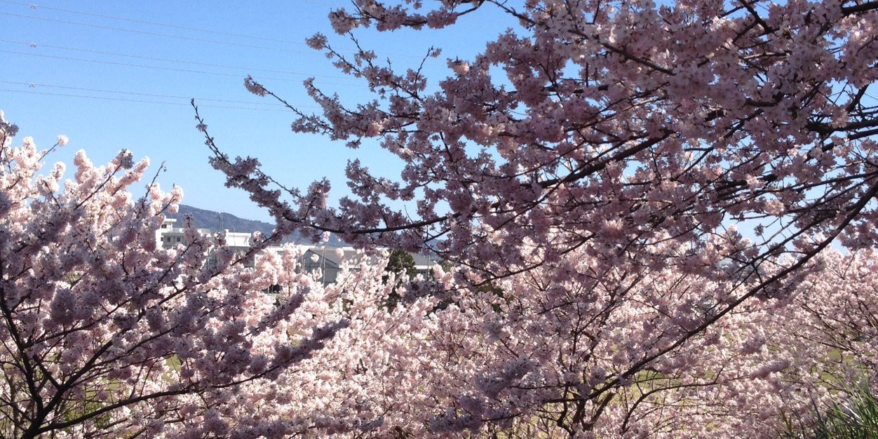 chokoumee's profile banner image