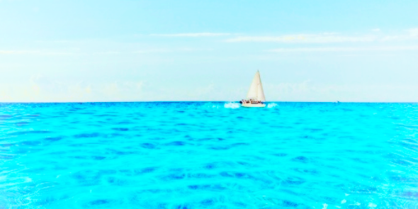 wewannals's profile banner image