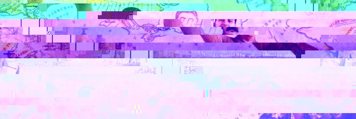 VioletMerlin's profile banner image