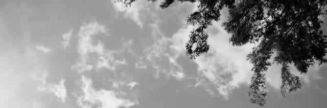 LoloMGOOP's profile banner image