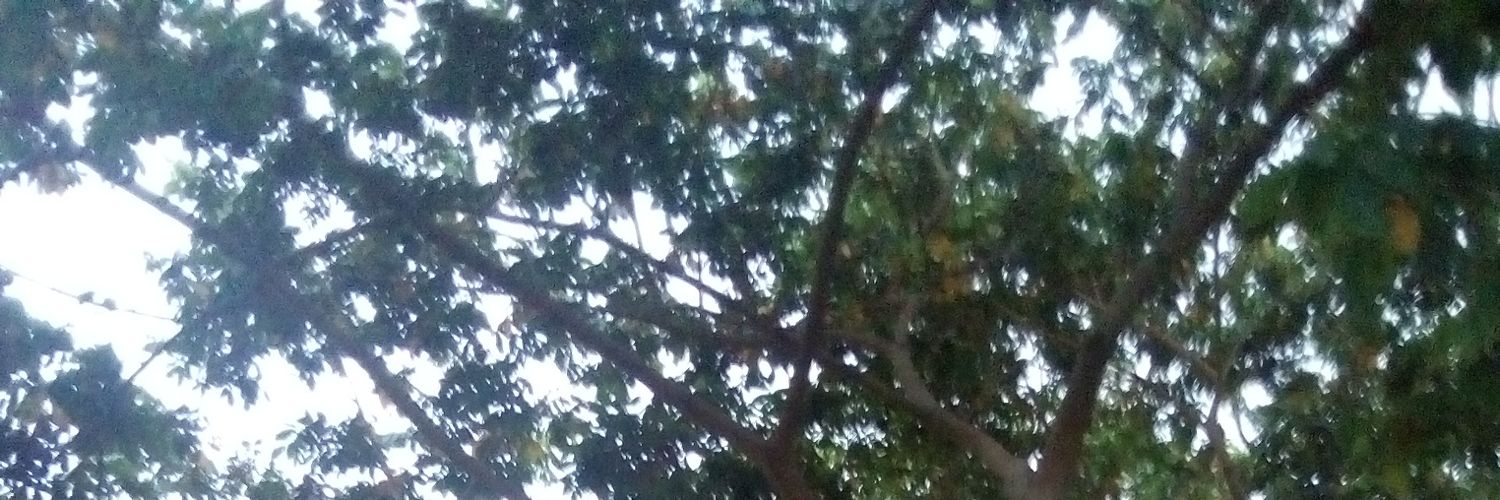 BrunooMarques79's profile banner image