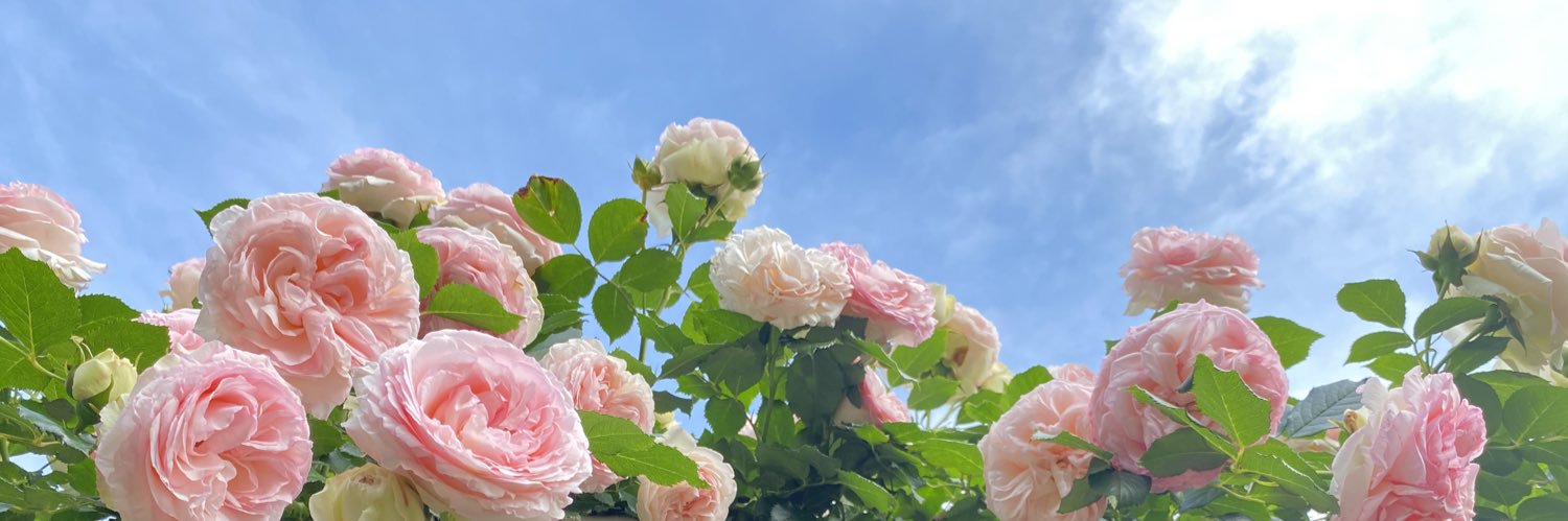 _gggggon's profile banner image
