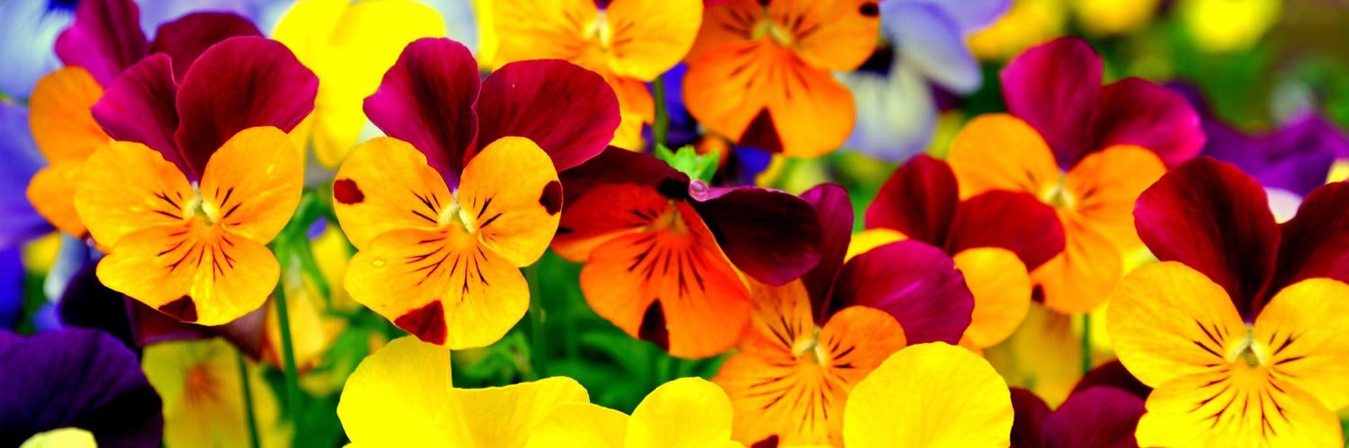 designedbymobi's profile banner image