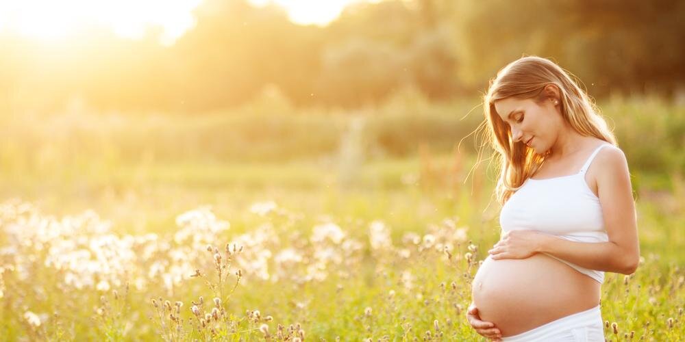 FertilityRevoln's profile banner image