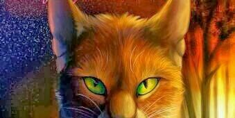 Swiftpaw9311's profile banner image