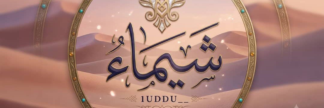 1UDDU__'s profile banner image