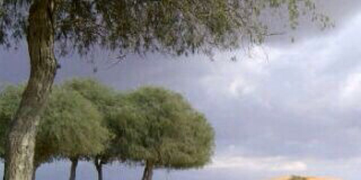ebrahim10011's profile banner image