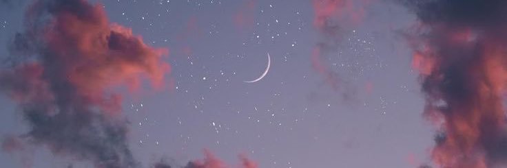 savannahh2016's profile banner image