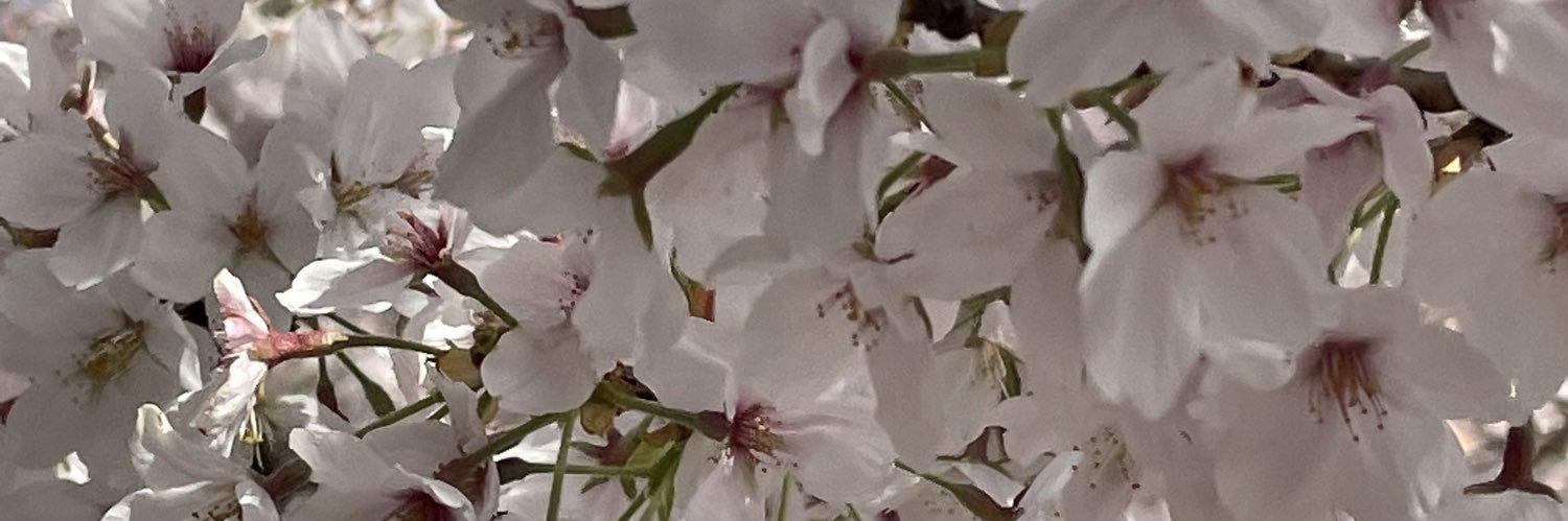 pegarabi18's profile banner image