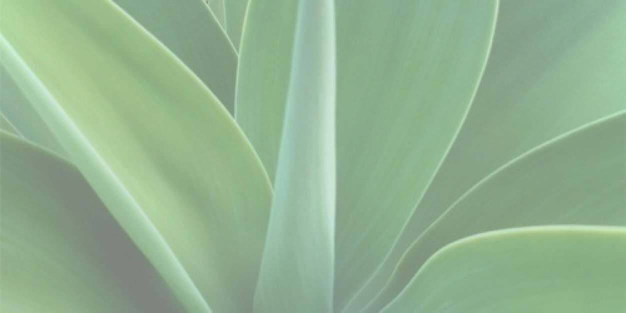 milesscampbell's profile banner image