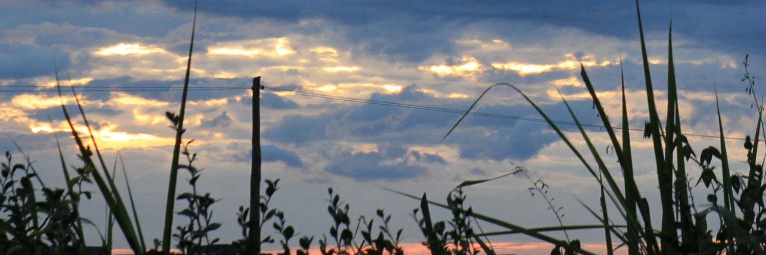 Christine Bukania banner