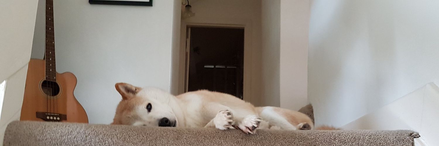 BasilGog's profile banner image