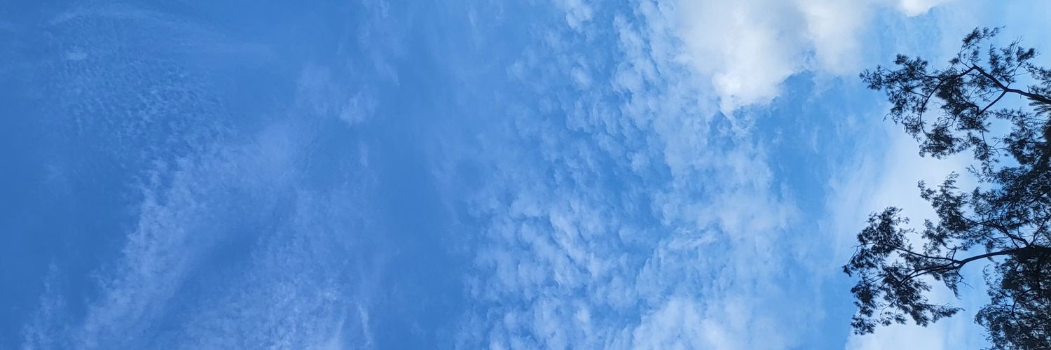 Chengnavs's profile banner image