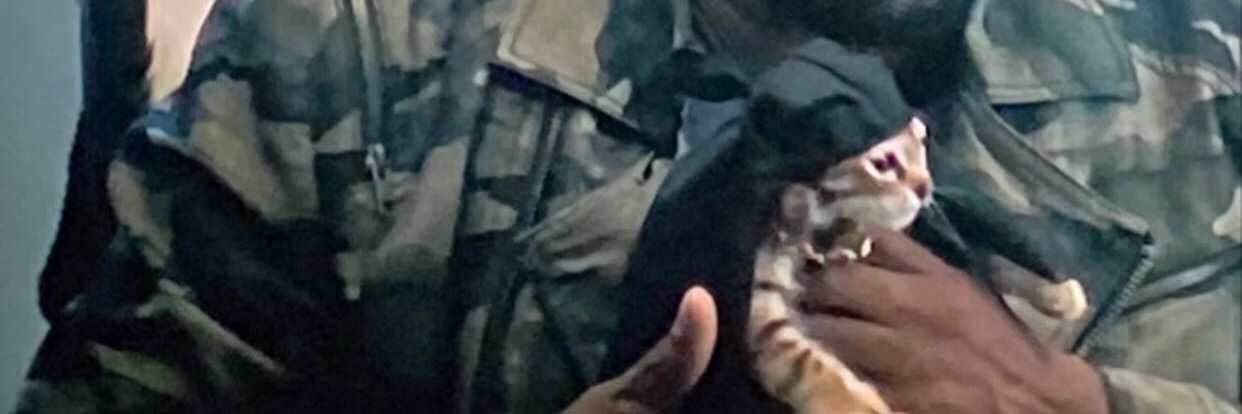 NezW_'s profile banner image