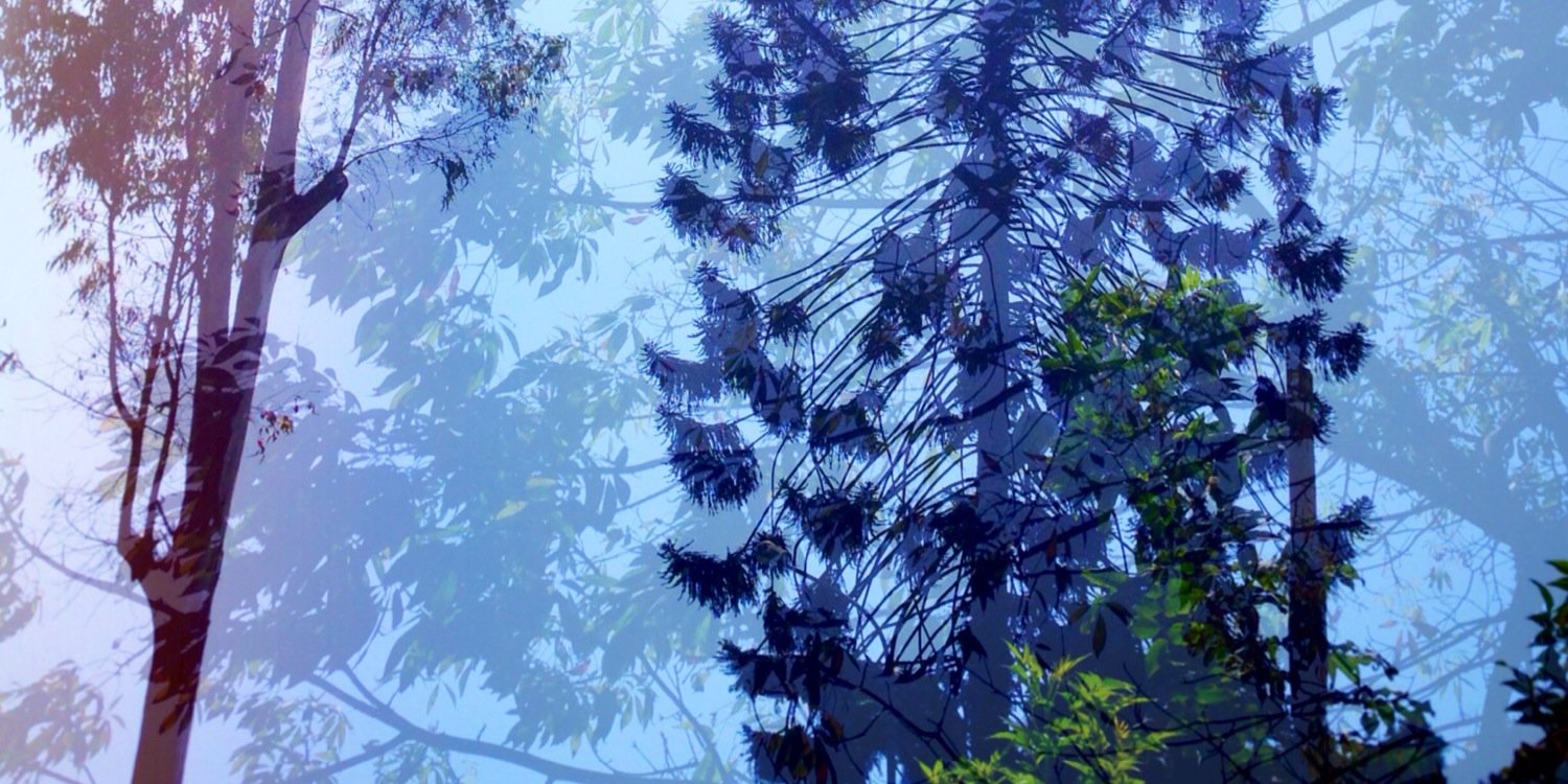 rlizier's profile banner image