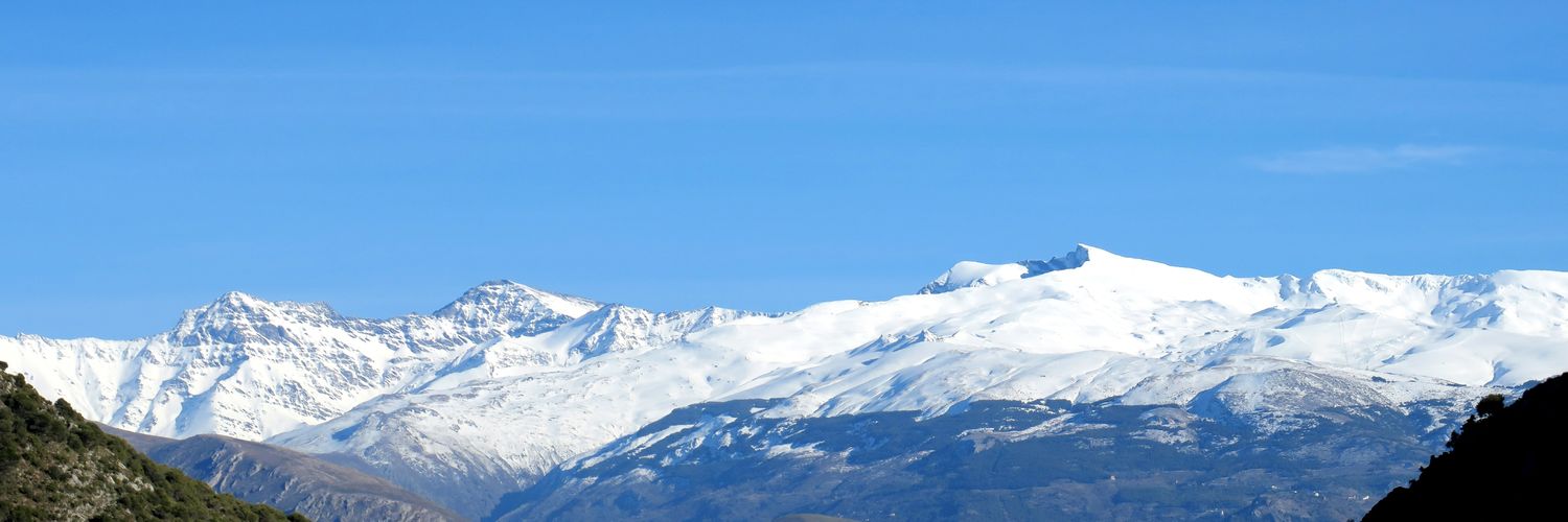 franlamolda's profile banner image