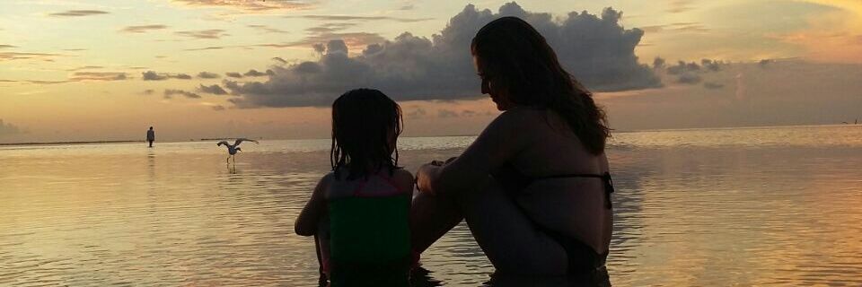 Noemi Guerrero 🦅 banner