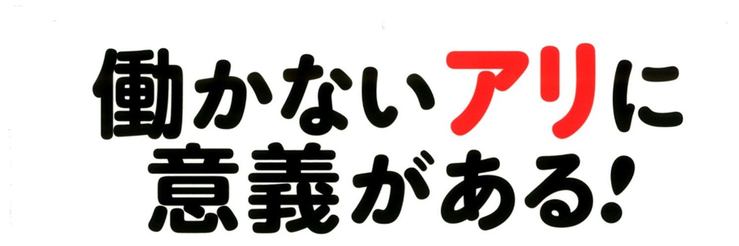 ハチ profile