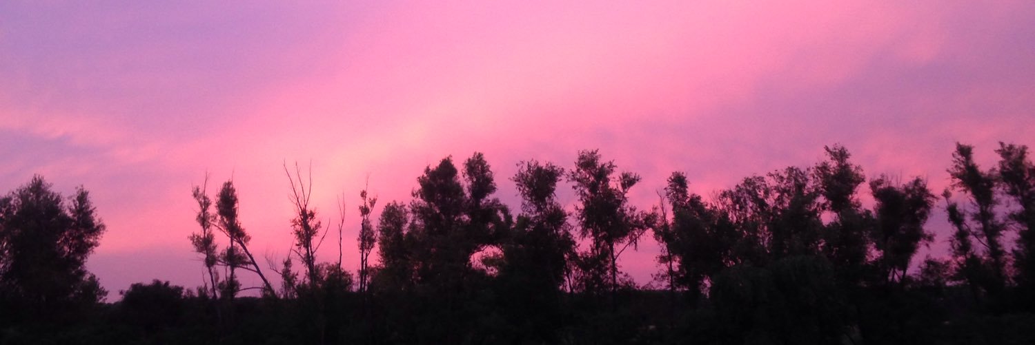 belubaa's profile banner image